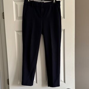 J. Crew Navy Dress Pants